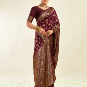 AXONIT Women's Silk Blend Banarasi Jacquard