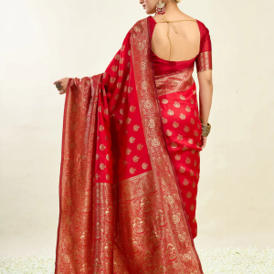 AXONIT Women's Silk Blend Banarasi Jacquard