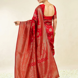 AXONIT Women's Silk Blend Banarasi Jacquard