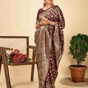AXONIT Women's Silk Blend Banarasi Jacquard