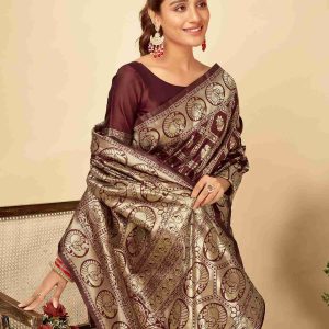 AXONIT Women's Silk Blend Banarasi Jacquard