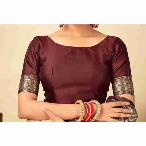 AXONIT Women's Silk Blend Banarasi Jacquard