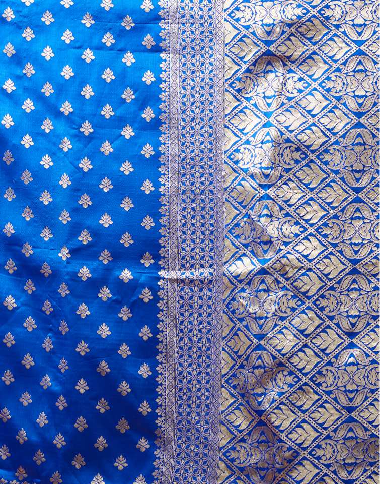 AXONIT Women's Silk Blend Banarasi Jacquard