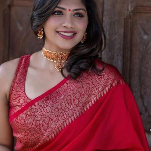 AXONIT Women's Premium Jacquard Silk Saree with Floral Brocade Border & Pallu Design with Unstitched Blouse Piece