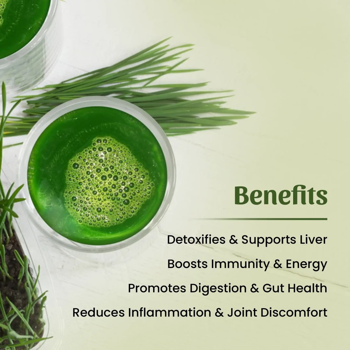 Neel Ayurvedics Wheatgrass Powder - 250 gm