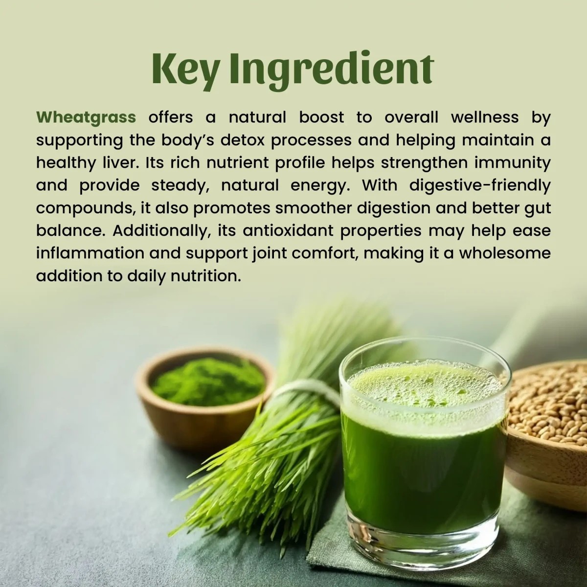 Neel Ayurvedics Wheatgrass Powder - 250 gm