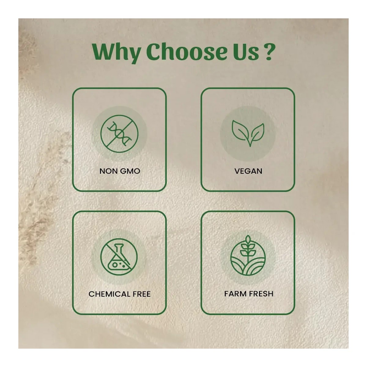 Neel Ayurvedics Stevia Powder - 500 gm